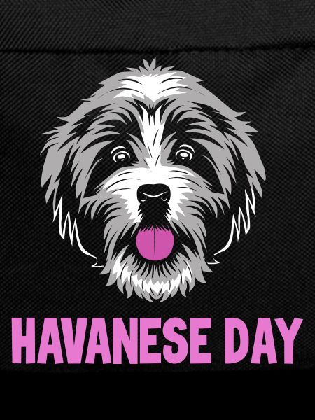 Chien bichon havanais