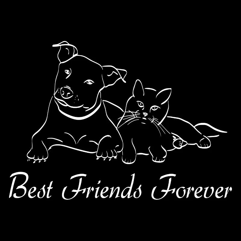 Chien chat