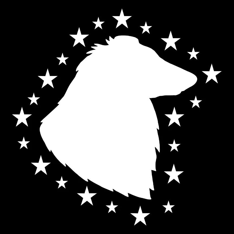 Collie