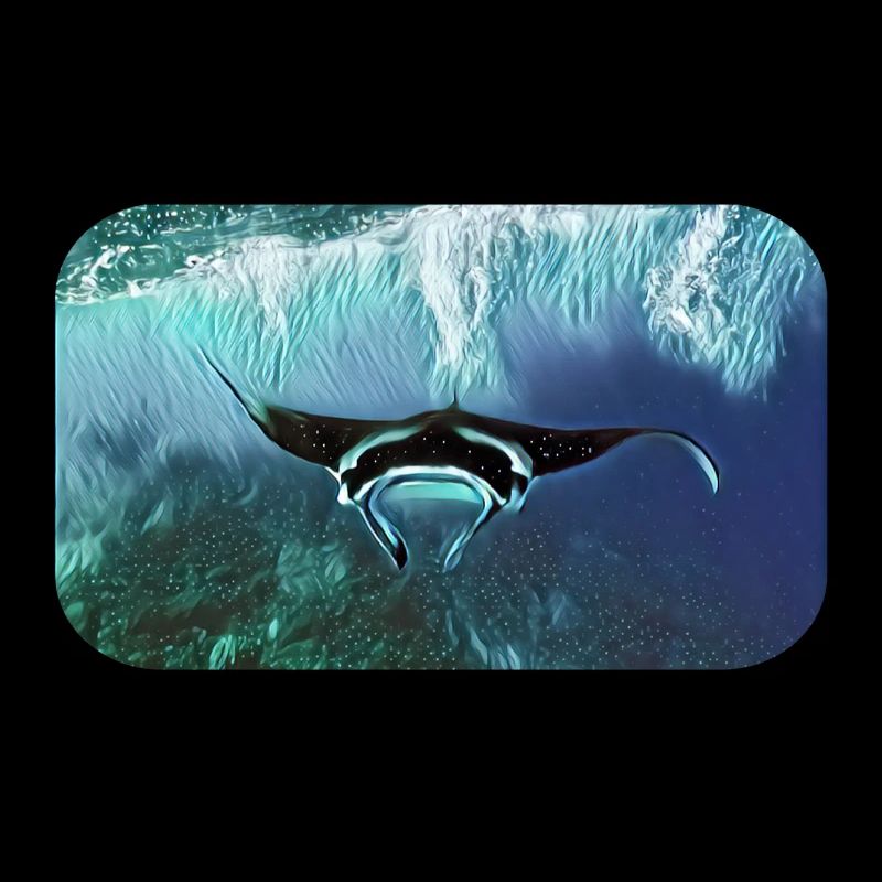 Manta Mantaray Mantarochen