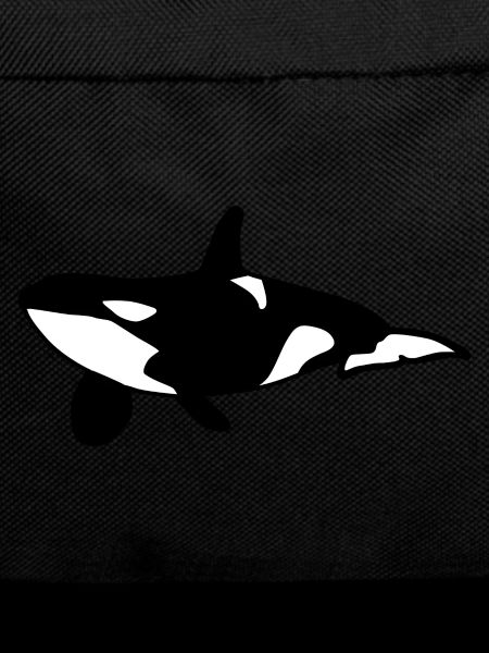 Orca Whale Sea