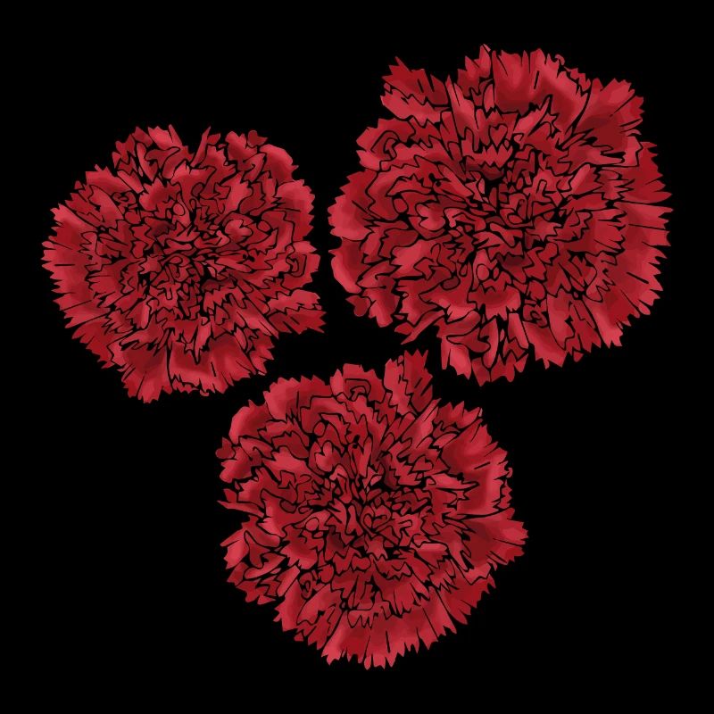 Carnations