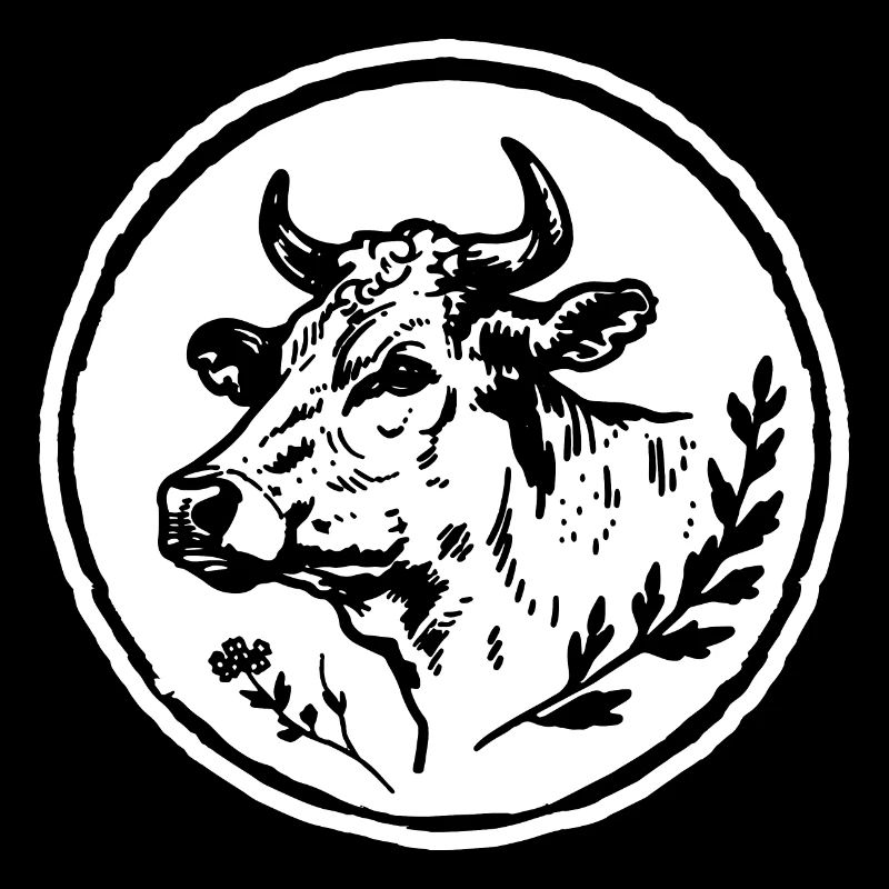 Vache Vaches