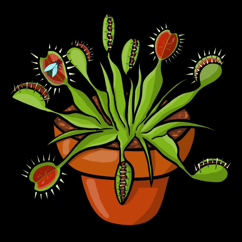 The Venus flytrap can count