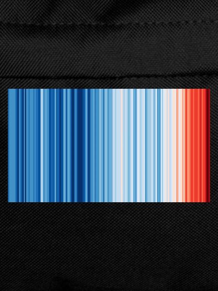 Warming Stripes Global 2019