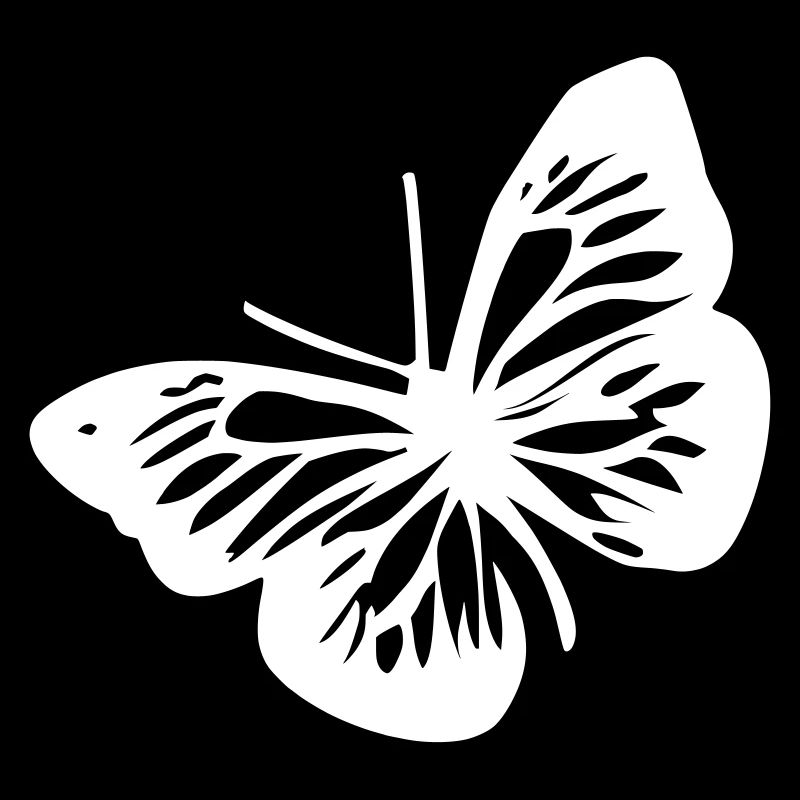 Schmetterling - Tier