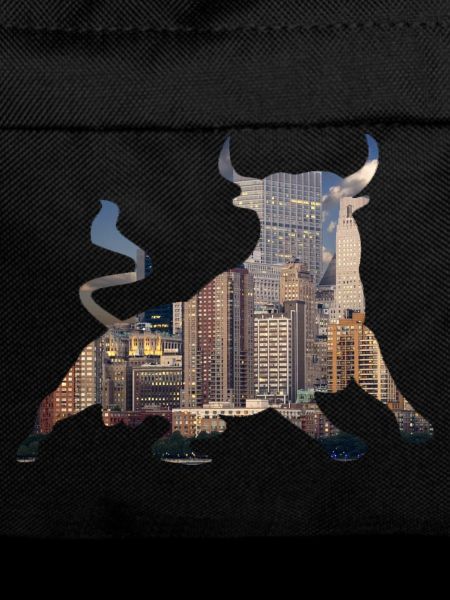 Wall Street Bull