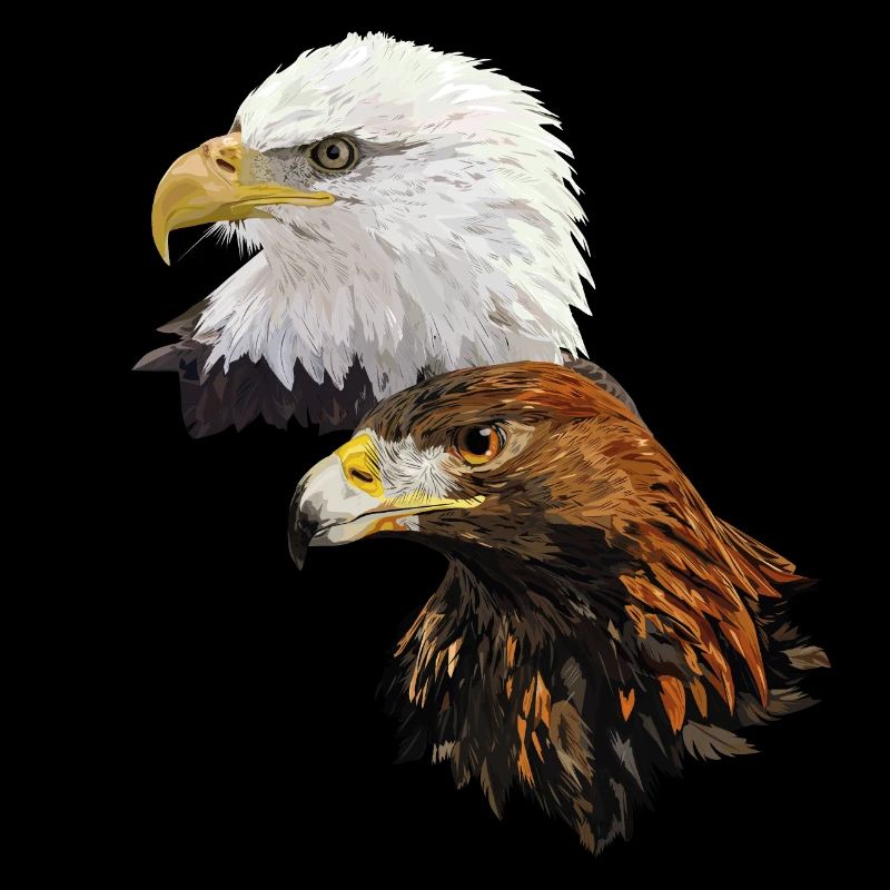 Eagles