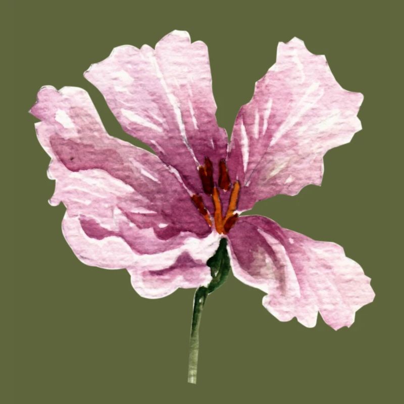 blume