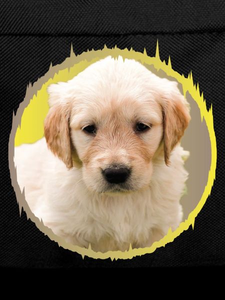 puppy