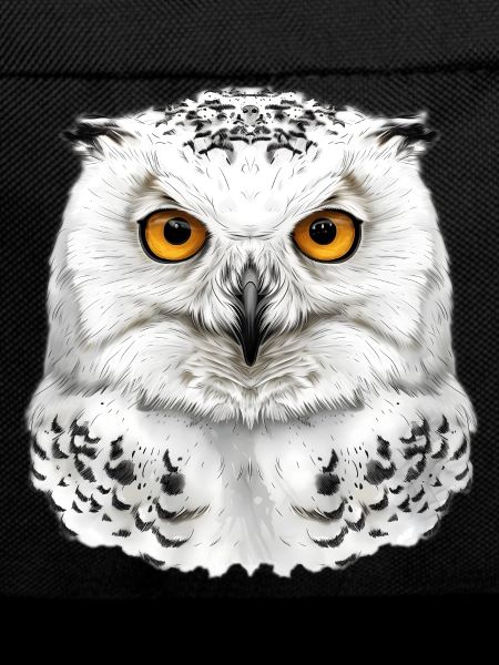 Snowy Owl Head
