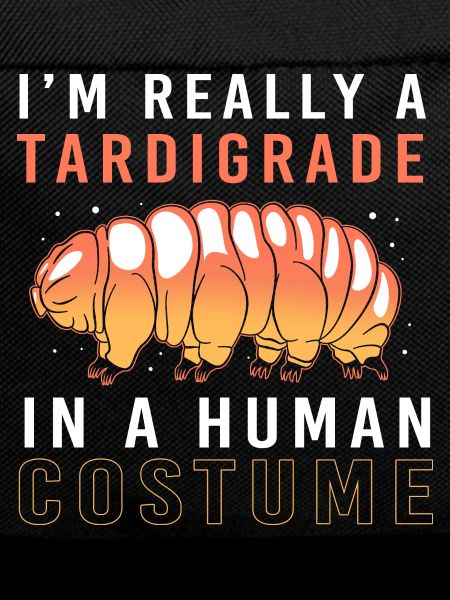 Bärtierchen Tardigrades Wasserbär Tardigrade