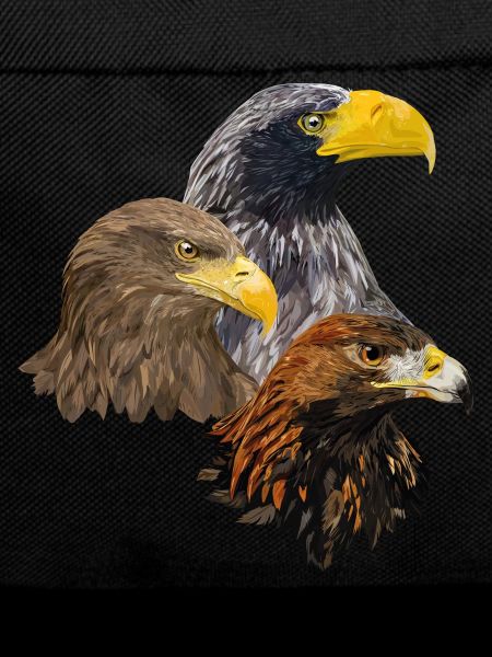 Birds of prey