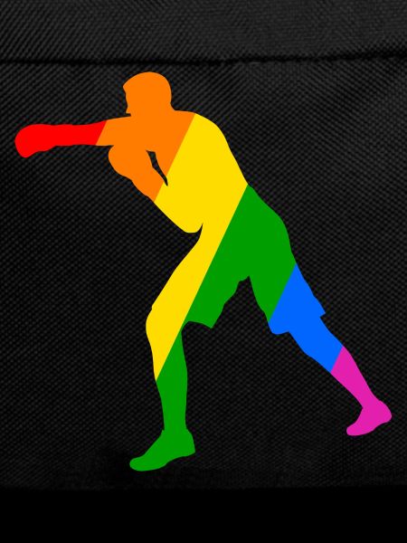 Boxer in the rainbow