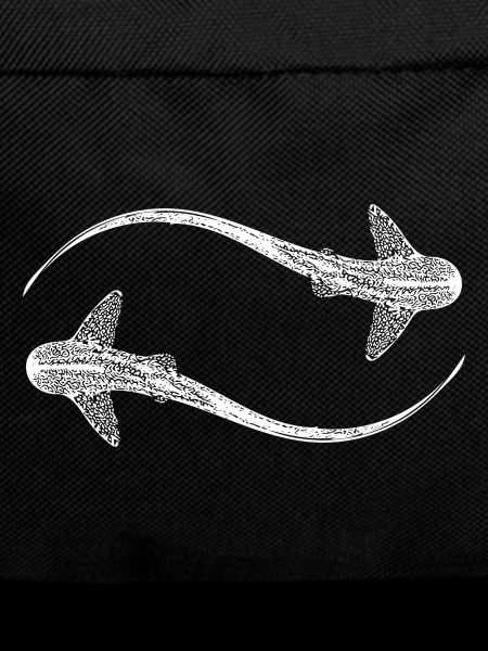 Elegant leopard sharks - Triakis semifasciata