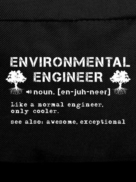 Environmental Engineer Definition