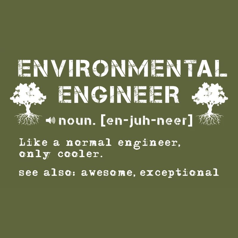 Environmental Engineer Definition