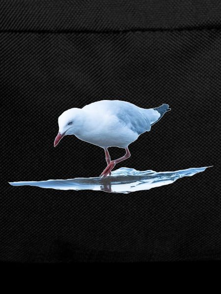 Seemöwe