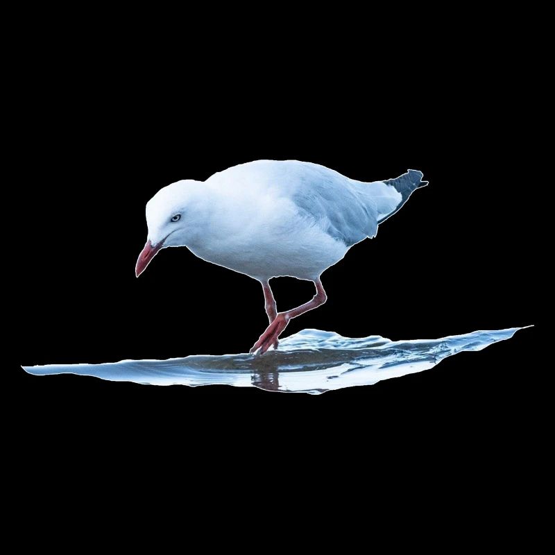 Seemöwe
