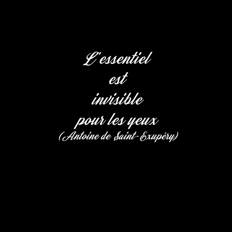 l'essentiel est invisible pour les yeux