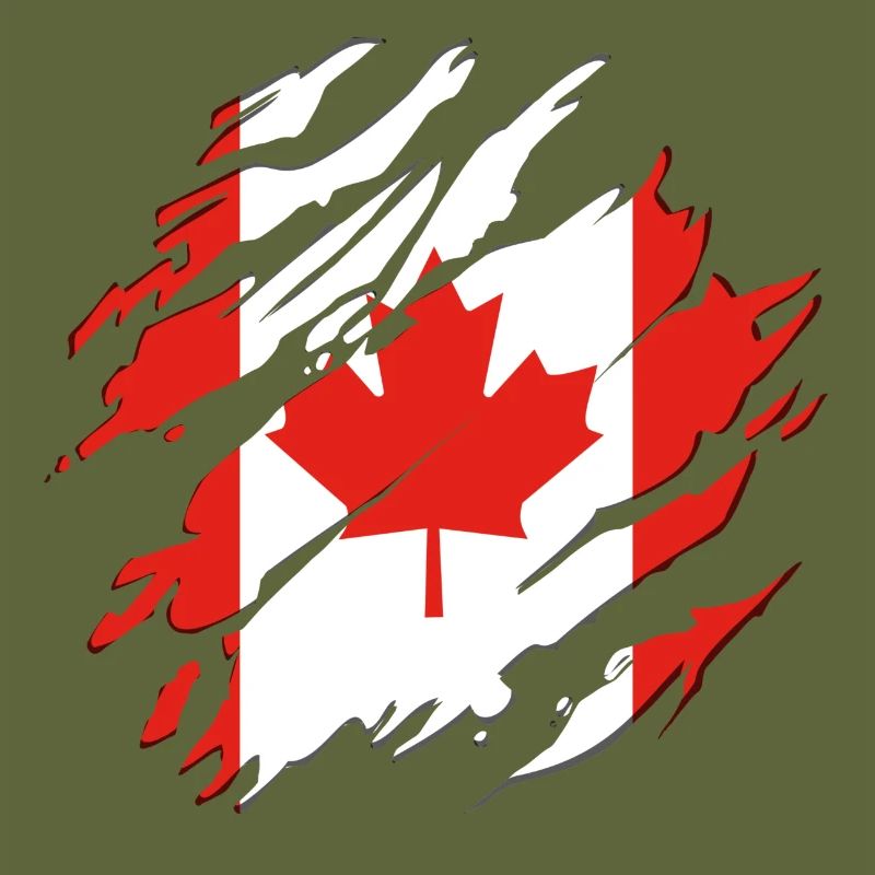 Canada flag maple maple leaf maple leaf cracks