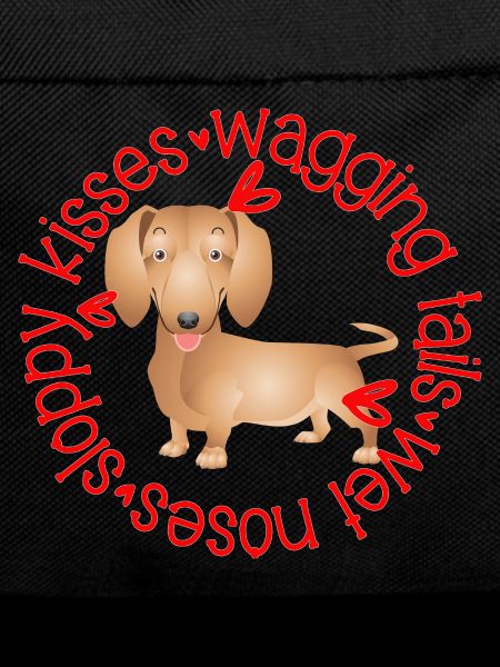 Cute Dachshund, sloppy kisses