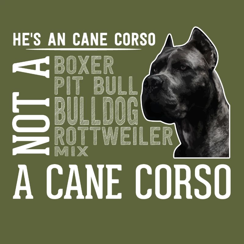 Cane Corso