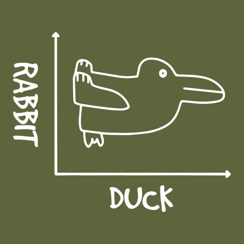 Graphics Hate Duck Illusion Math Gift