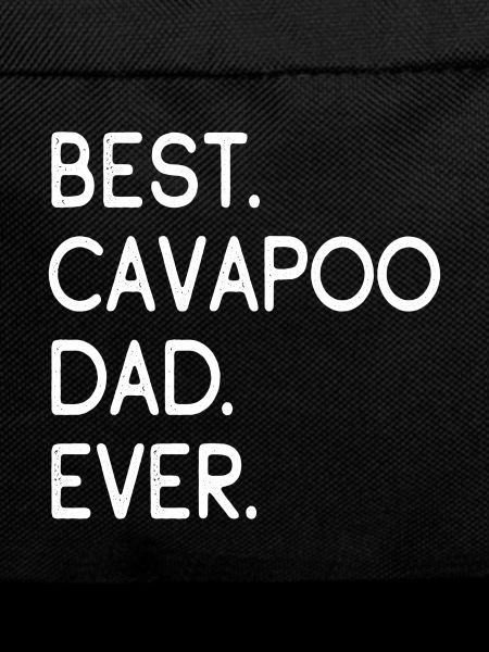 Cavapoo Cavoodle