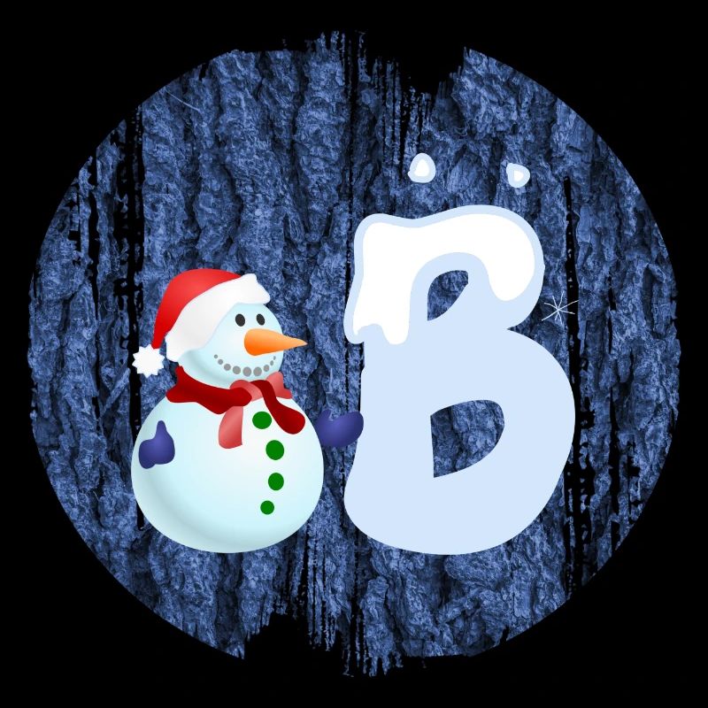 schneemann b
