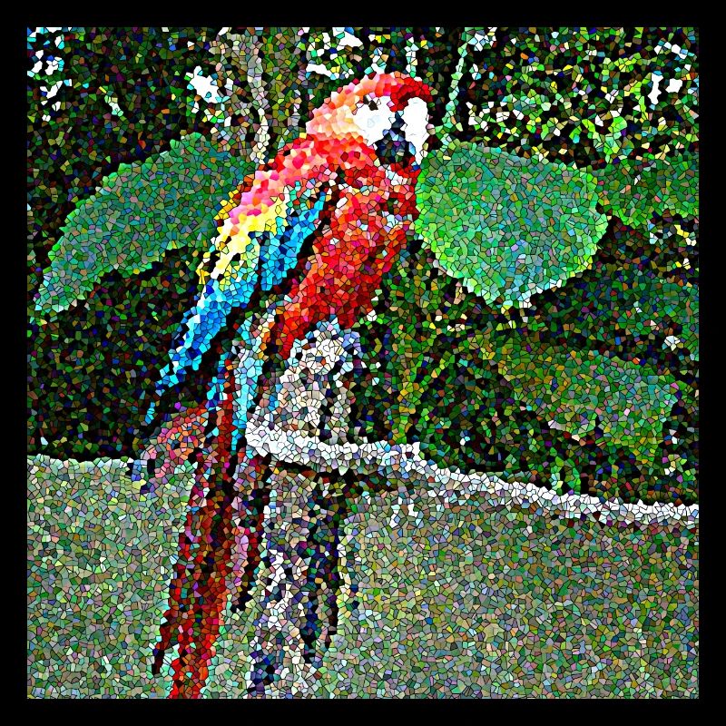 A very curious parrot