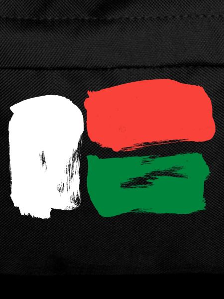 Madagaskar Flagge - Pinsel Striche
