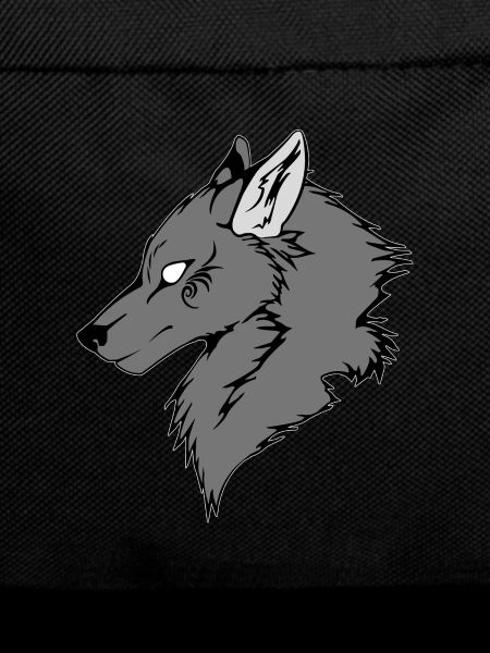 Loup gris