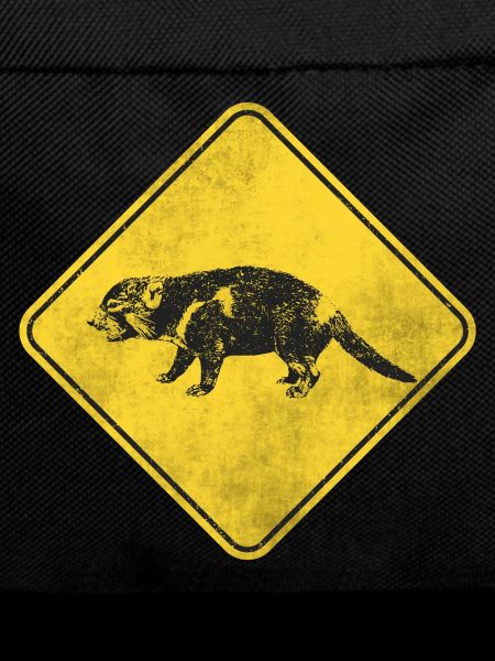 Tasmanian devil