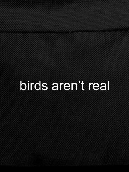 birds aren't real