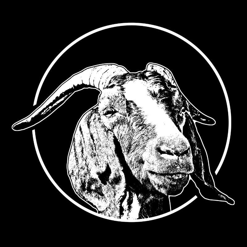 Chèvres - éventail de chèvres - chèvre