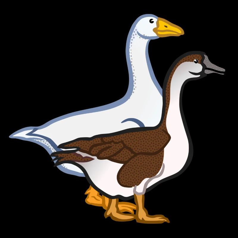 geese