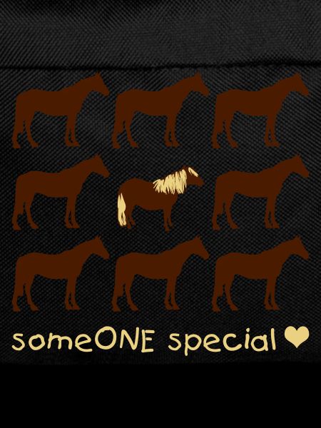 JaC's Haflinger