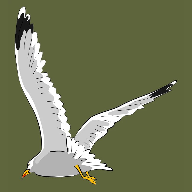 Möwe im Flug