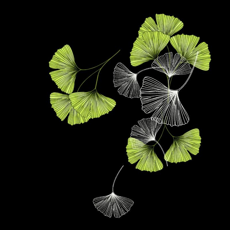 Gingko