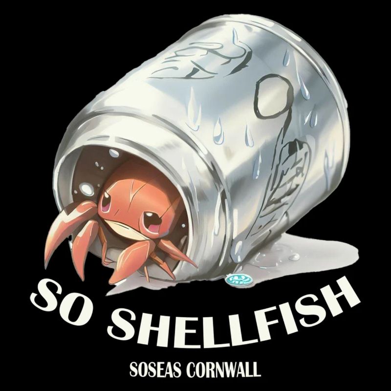 So Shellfish Hermit Crab