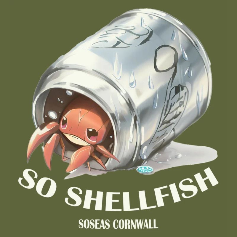 So Shellfish Hermit Crab