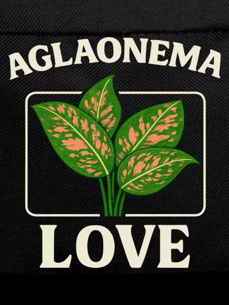 Aglaonema Love