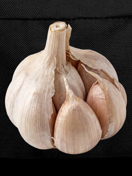 Garlic Vegan cuisine mediterranean