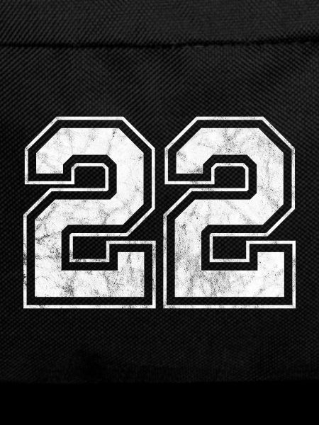 Numéro 22