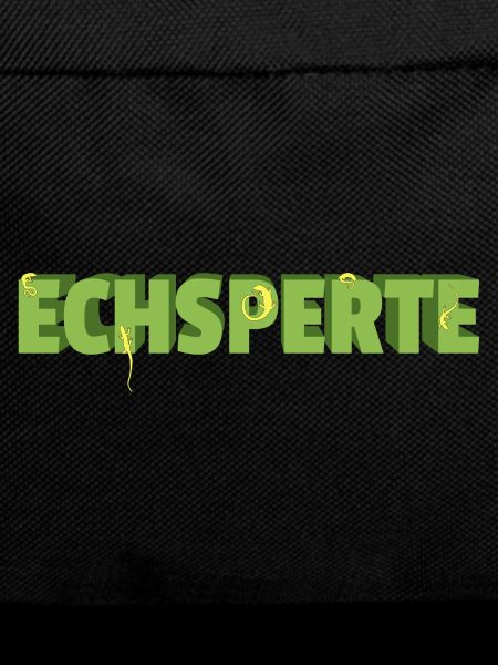 Terraristik Echsperte Terrarium
