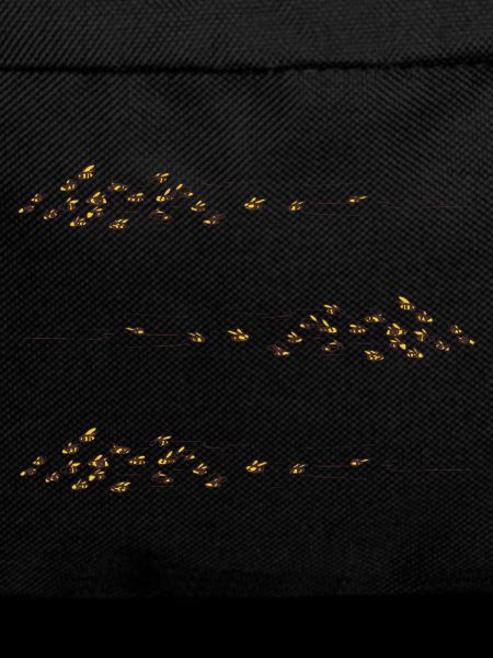 Swarm of bees