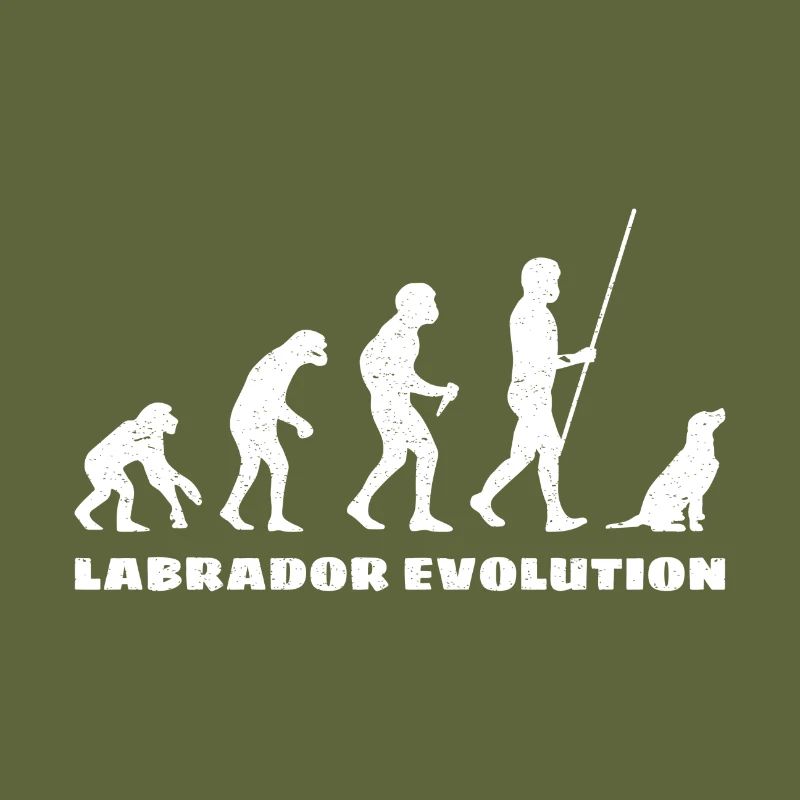 Labrador Evolution