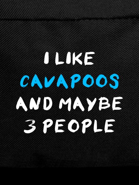 Cavapoo Cavoodle