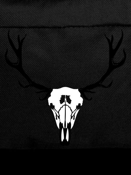 Deer skull and antlers